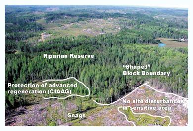 Environment Land Overview Operations Support Susta - Environment Land Overview Operations Support Sustainability