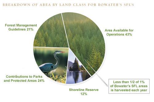 Environment Land Overview The Makeup of Our Forest - Environment Land Overview The Makeup of Our Forests